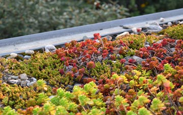 the cost of West View green roof installation